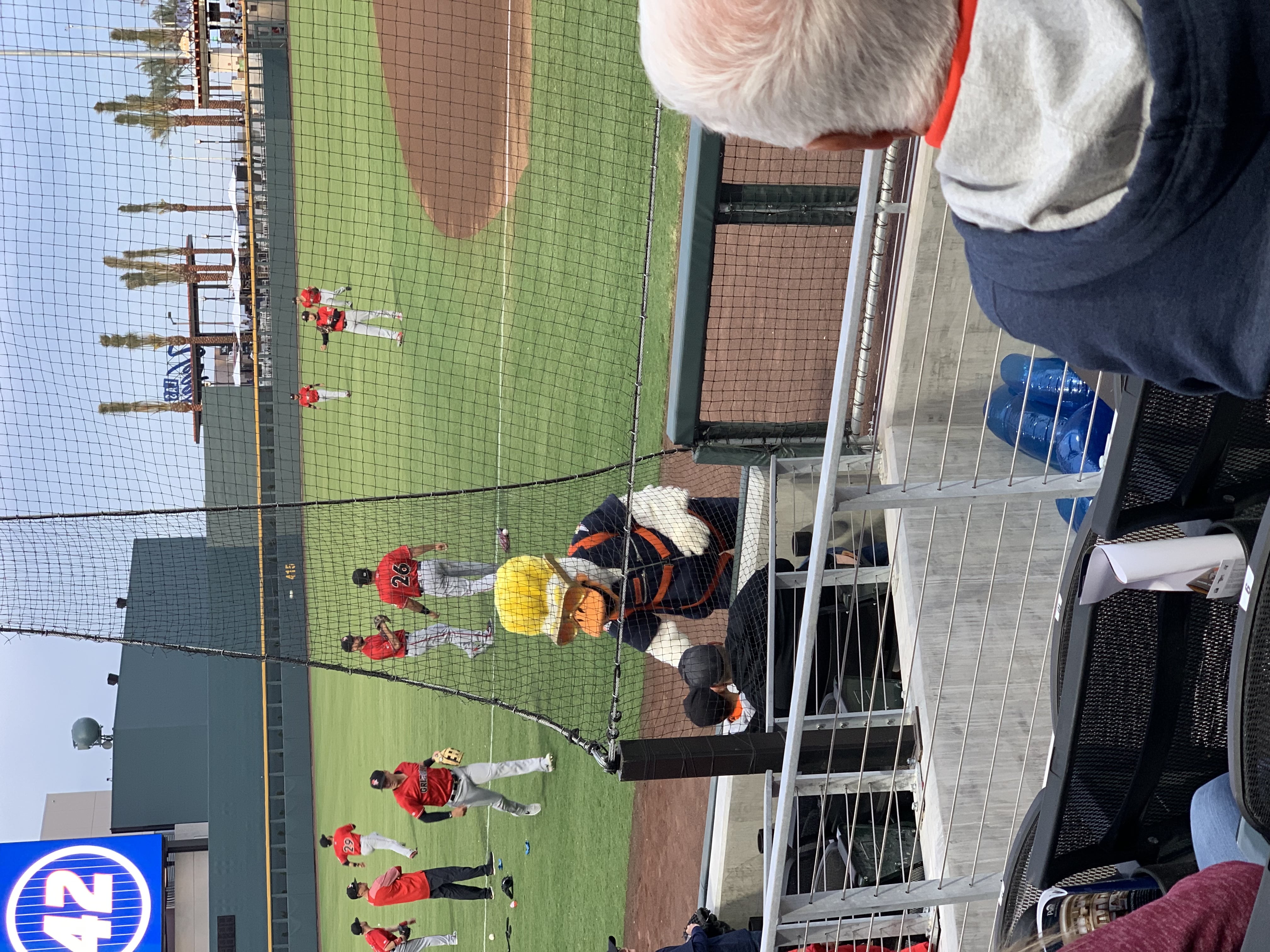 Spruce the Goose, one of the Las Vegas Aviators' mascots